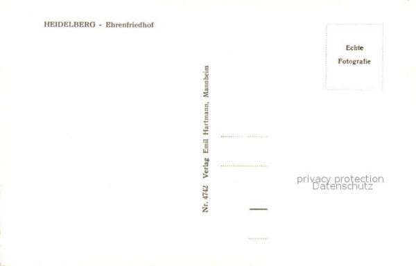 Heidelberg Neckar Ehrenfriedhof – Bild 2