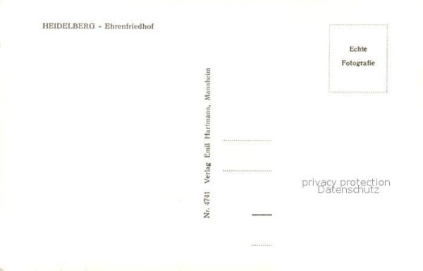 Heidelberg Neckar Ehrenfriedhof – Bild 2