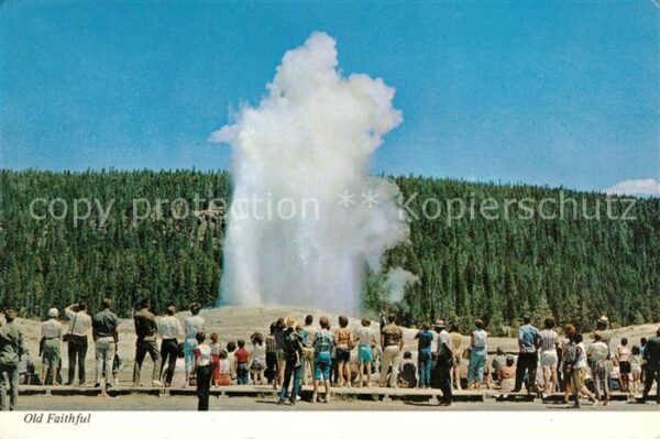 Geysire Vulcans Geysers Vulkane Old Faithful Geyser Yellowstone Nationa