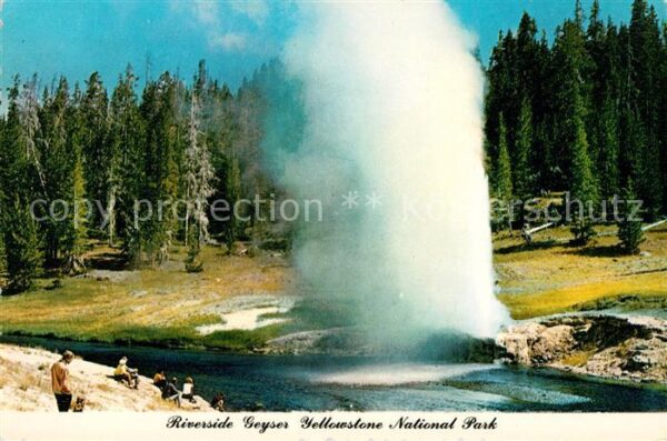 Geysire Vulcans Geysers Vulkane Riverside Geyser Yellowstone National P