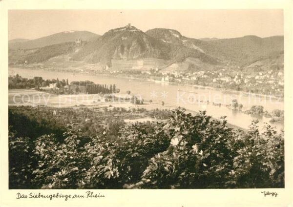 Foto Popp Nr. Siebengebirge Rhein
