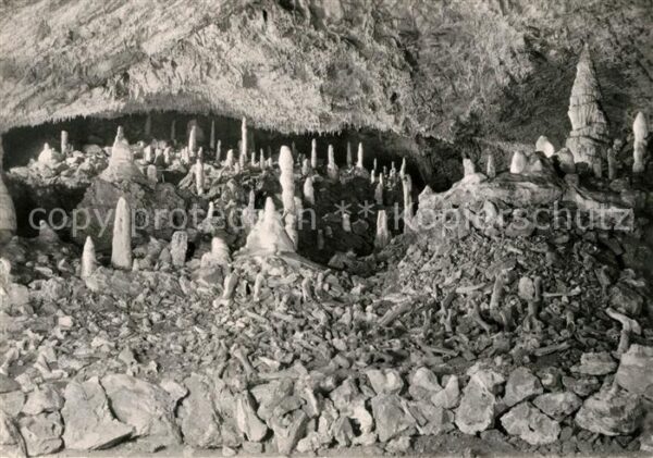 Hoehlen Caves Grottes Baumannshöhle Märchenwald Bärenfriedhof