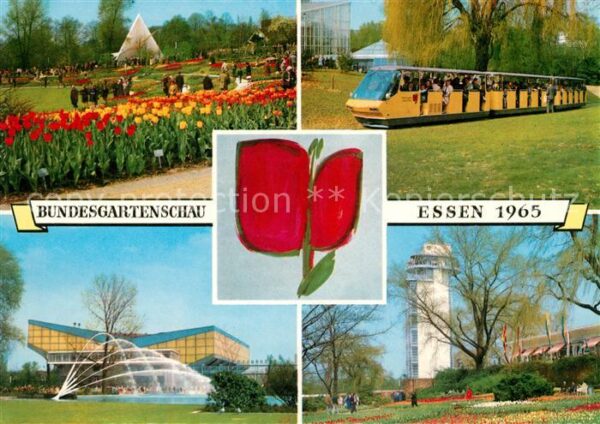 Bundesgartenschau Essen Tulpen