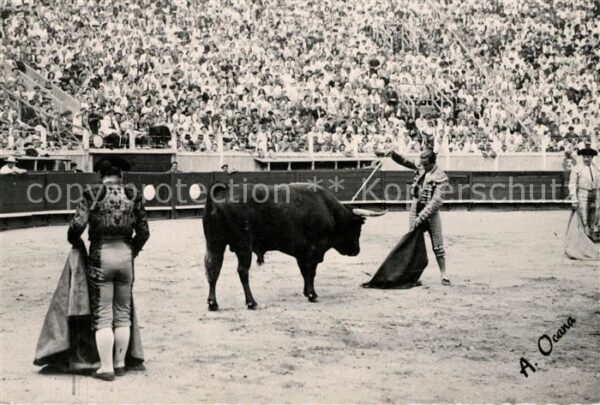Stierkampf Toros Toreros Vicente Barrera