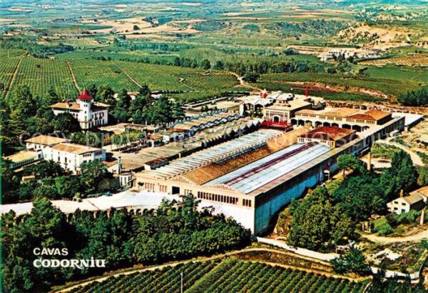 Cavas Codorniu Fliegeraufnahme