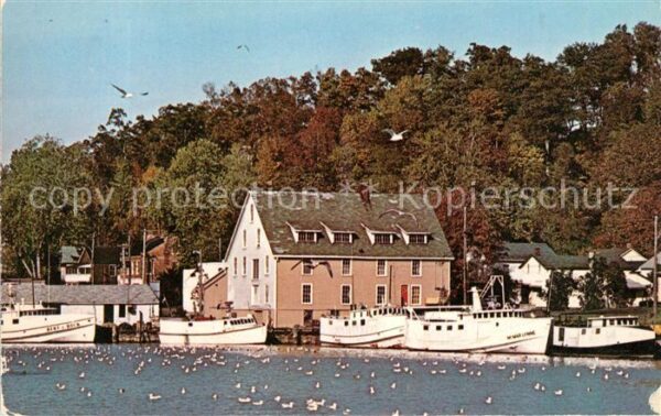 Port Stanley Fish House Fishing Harbour