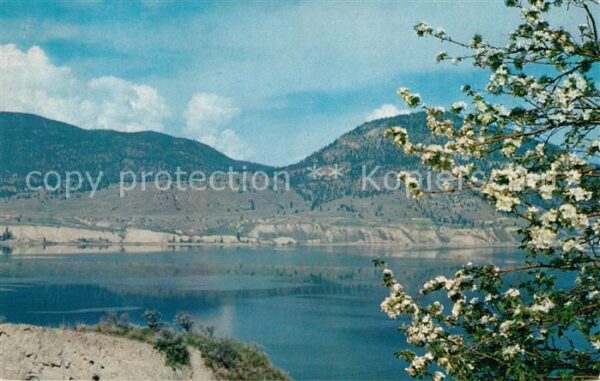Okanagan Falls Blossom Time
