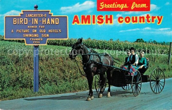 Bird in Hand Sunday ride with their traditional hors