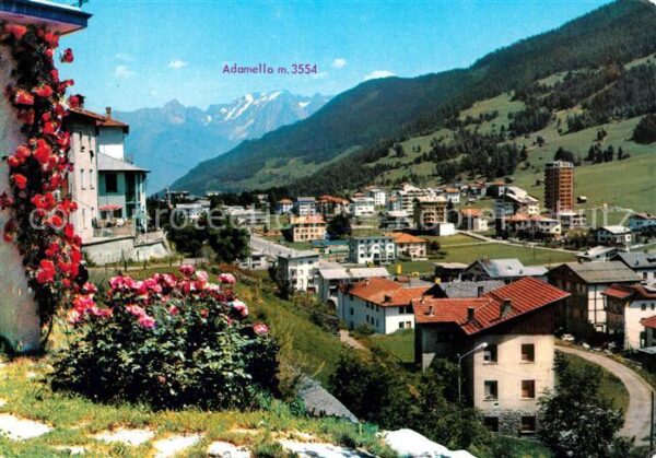 Aprica Panorama mit Adamello