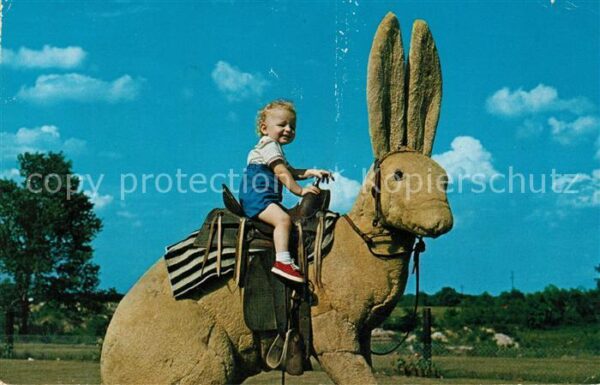 Pacifica This medium size Texas Jack Rabbit is n