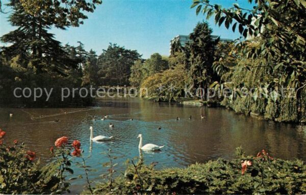 Victoria British Columbia Good Acre Lake Beacon Hill Park