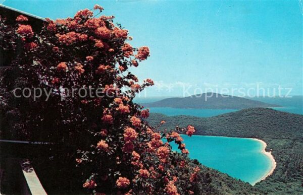 St Thomas Virgin Islands Magens Bay