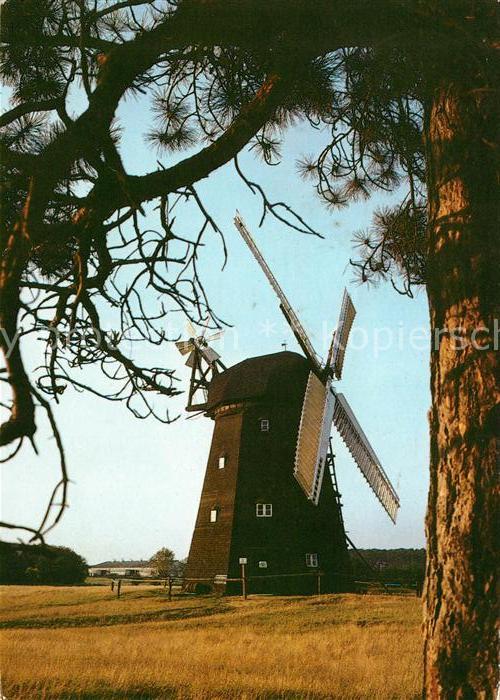Alt Schwerin Erdholländermühle