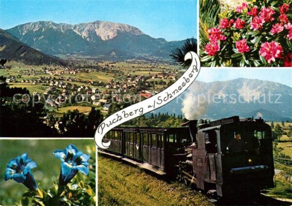 Puchberg Schneeberg Enzian Schneebergbahn