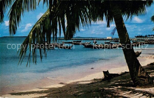 Massawa Dhoni Lines