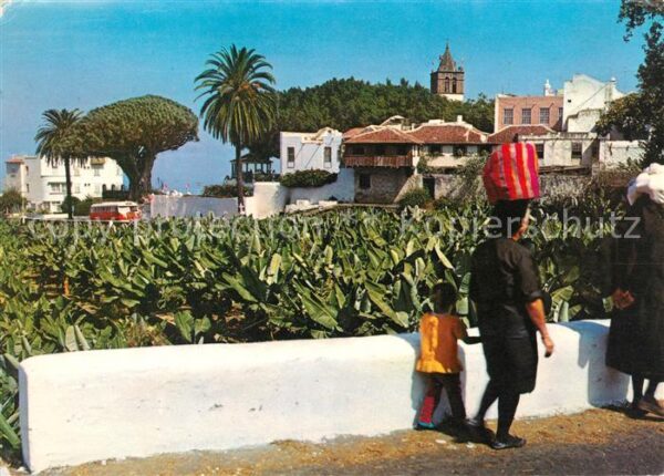 Tenerife Icod de los Vinos