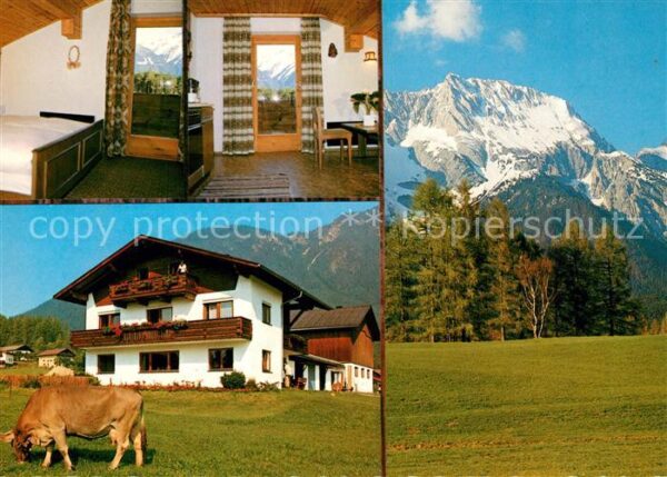 Obsteig Tirol Ferienwohnungen Fam. Knoflach Kuh Lands