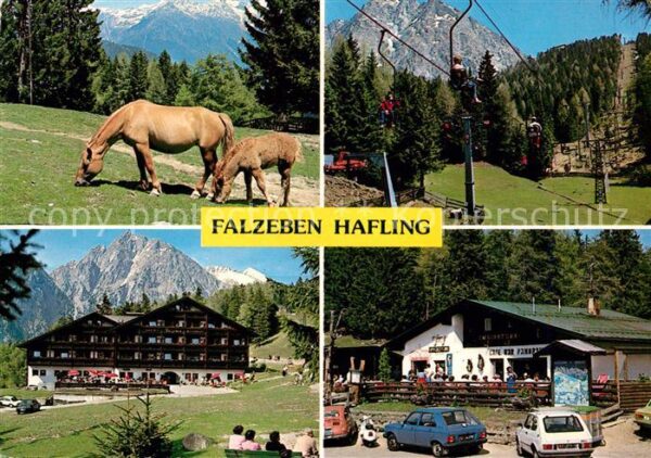 Falzeben Haflinger Pferde Sessellift Piffinger K