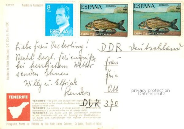 Tenerife – Bild 2