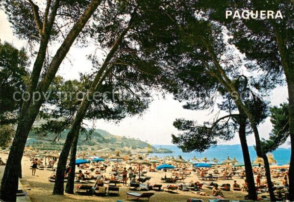 Paguera Mallorca Islas Baleares Strand