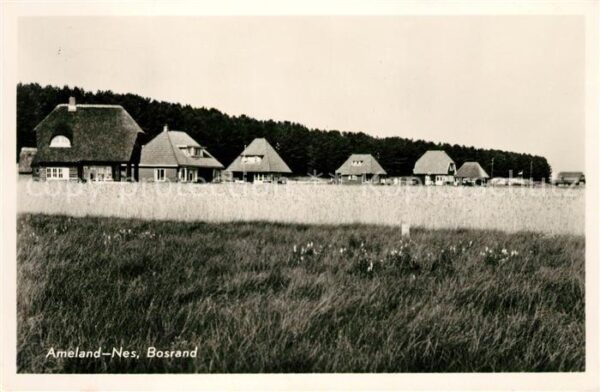 Ameland Bosrand