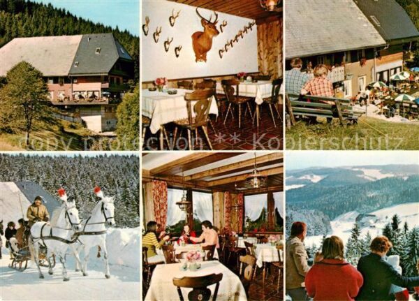 Hornberg Schwarzwald Höhengasthof Pension Schöne Aussicht Pf