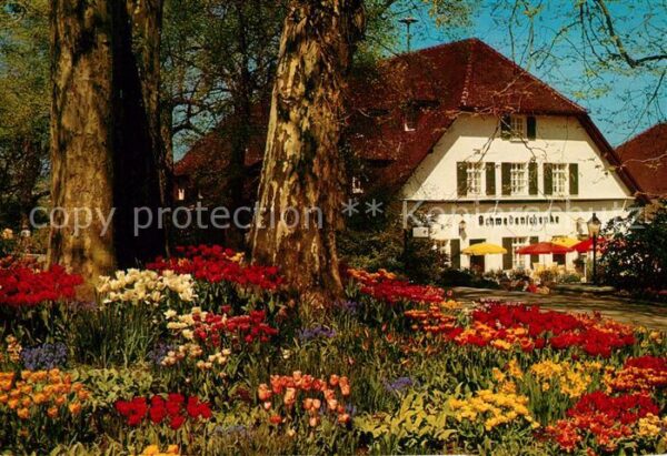 Insel Mainau Schwedenschenke im Frühling