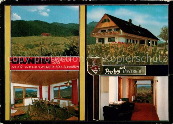 Grunern Probst Winzerhof Straussi