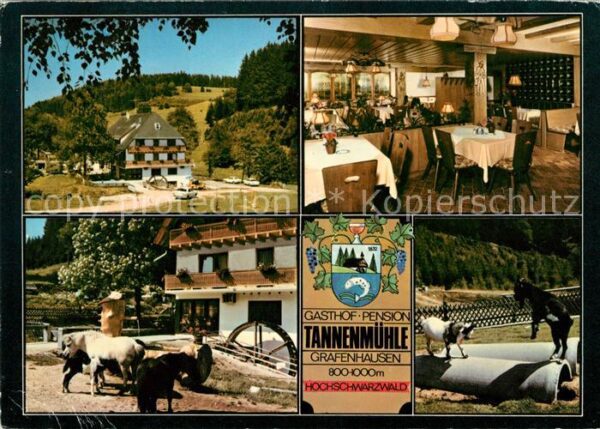 Grafenhausen Schwarzwald Gasthaus Pension Tannenmühle Ziegen Pfe