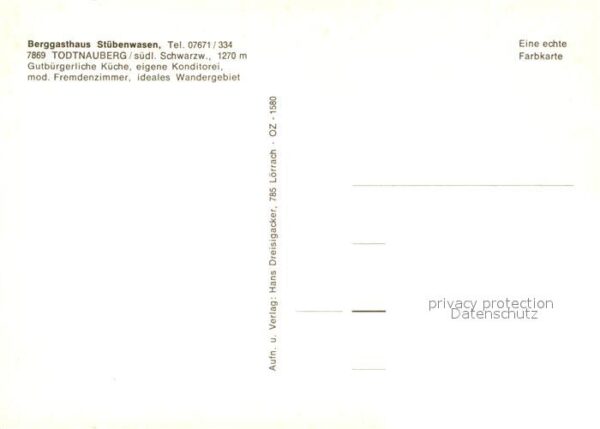 Todtnauberg Gasthaus Stübenwasen Kühe – Bild 2