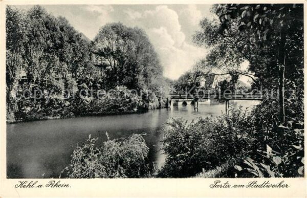 Kehl Rhein Partie am Stadtweiher