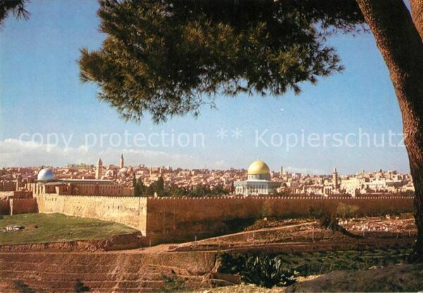 Jerusalem Yerushalayim Temple Area Eastern Wall seen from Moun