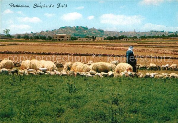 Bethlehem Yerushalayim Shepherd_s Field