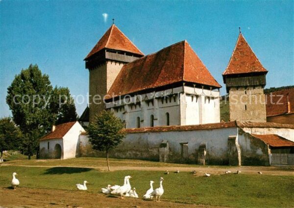 Probstdorf Wien Kirchenburg Gänse