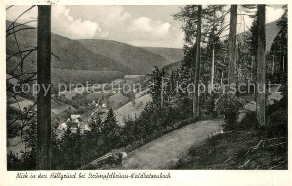 Waldkatzenbach Panorama Blick in den Höllgrund
