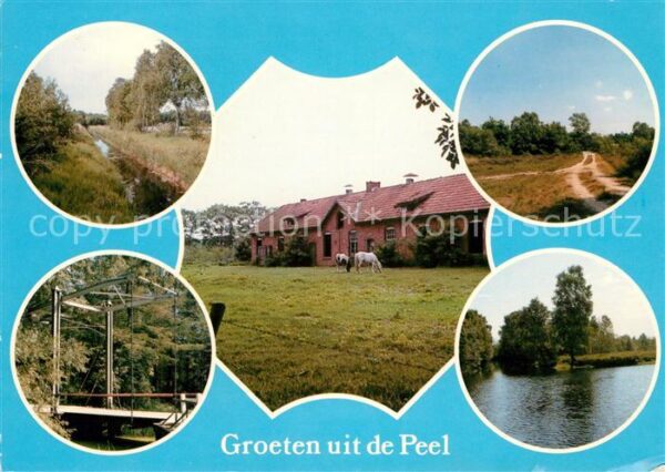 Peel en Maas Landschaftspanorama Bauernhof Pferde