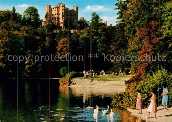 Hohenschwangau Königsschloss Partie am Alpsee Schwäne