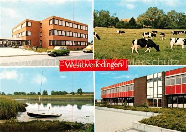 Westoverledingen Rathaus Ems Rinder Viehweide Schule Col