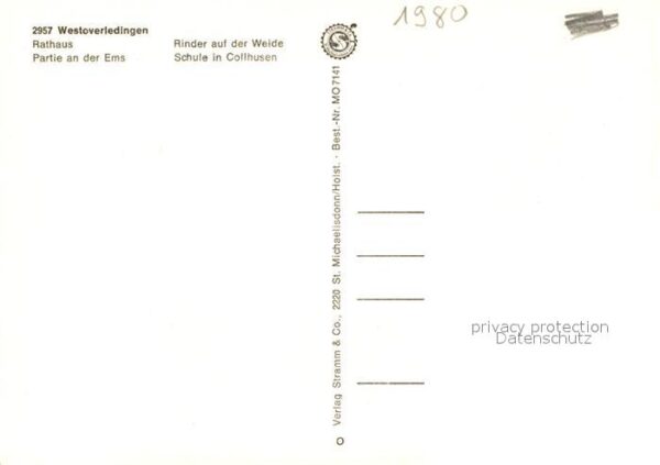 Westoverledingen Rathaus Ems Rinder Viehweide Schule Col – Bild 2