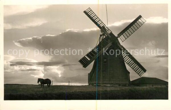 Amrum Windmühle