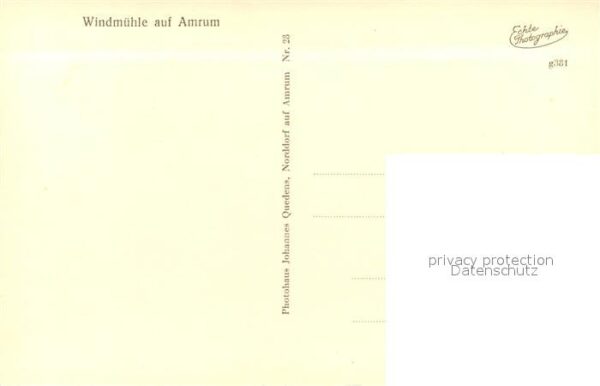 Amrum Windmühle – Bild 2