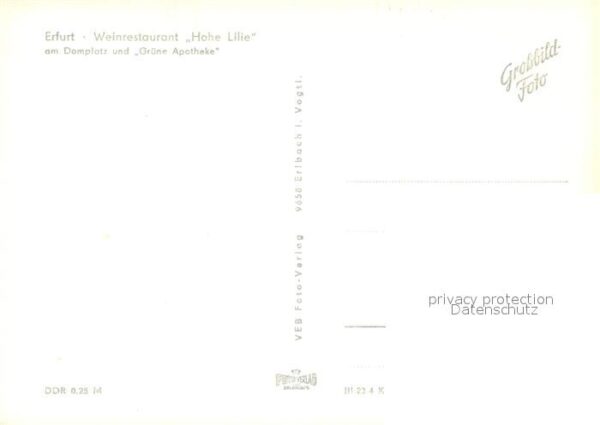 Erfurt Weinrestaurant Hohe Lilie Domplatz Grün – Bild 2