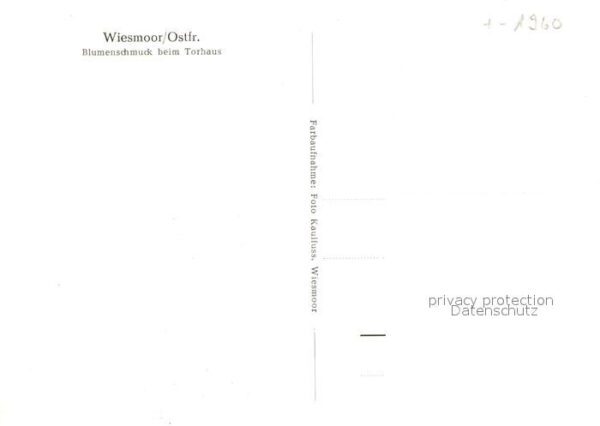 Wiesmoor Blumenschmuck beim Torhaus – Bild 2