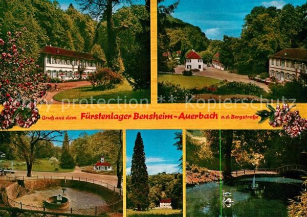 Auerbach Bergstrasse Fürstenlager Schwanenteich