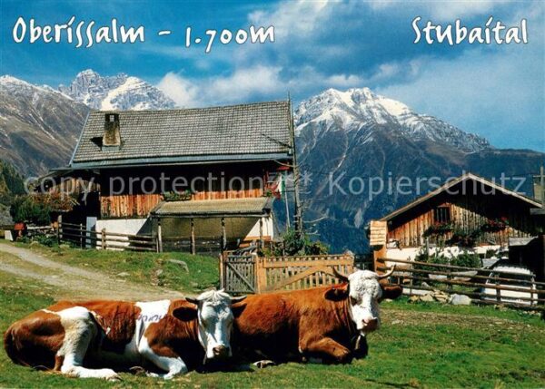 Neustift Stubaital Tirol Oberissalm Jausenstation Kühe Schlicker