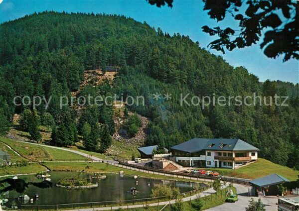 Todtnau Berg-Wild-Park Steinwasen