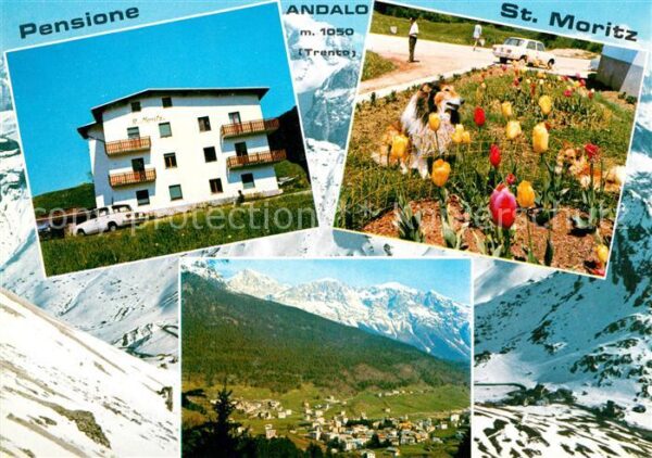 Andalo Pensione St. Moritz