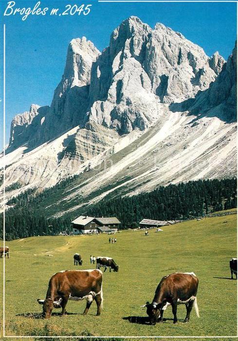 Lajen Bozen Schutzhaus Brogles Rifugio