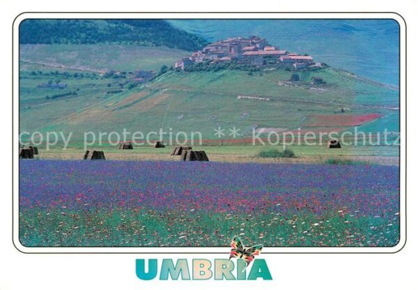 Castelluccio