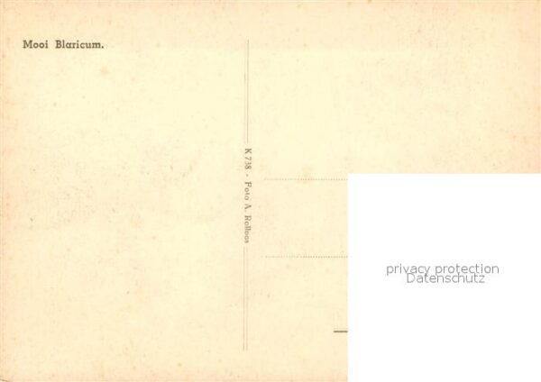 Blaricum – Bild 2
